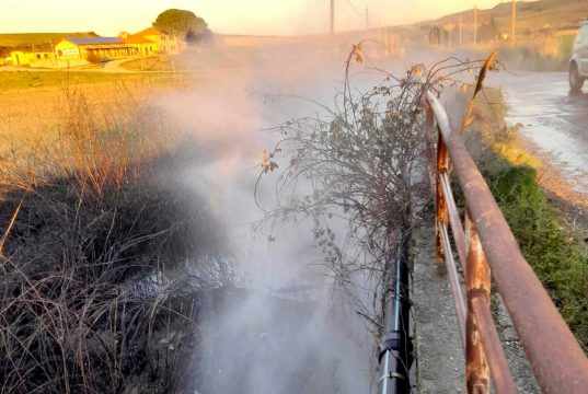Incendio a bordo strada in un campo a Montericcio Tarquinia – Incendio a Montericcio