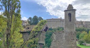 Viterbo - Albero crolla sulla chiesa di Santa Croce