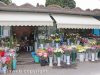 Viterbo – Il chiosco La Magnolia al cimitero San Lazzaro